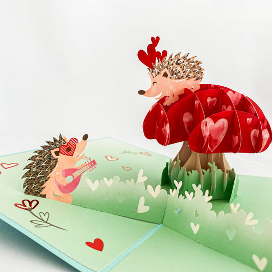 Hedgehog pop-up card with message you can write on it!